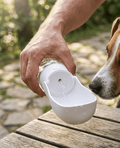 Gourde d'Eau Pliable pour Chien | Distributeur Portable pour Balade