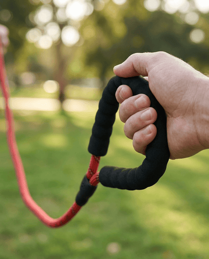 Laisse Chien Nylon Réfléchissante – Poignée Confort