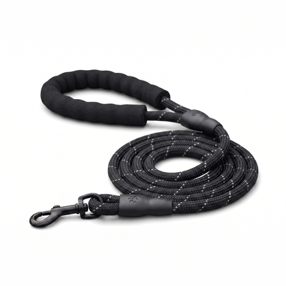 Laisse Chien Nylon Réfléchissante – Poignée Confort