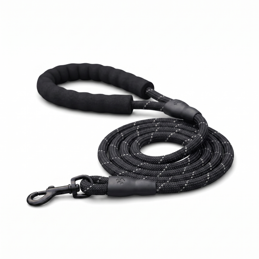Laisse Chien Nylon Réfléchissante – Poignée Confort