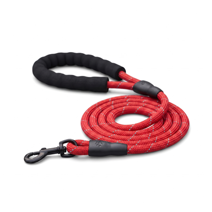 Laisse Chien Nylon Réfléchissante – Poignée Confort