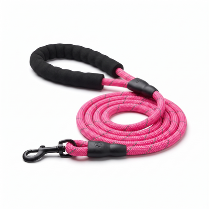 Laisse Chien Nylon Réfléchissante – Poignée Confort
