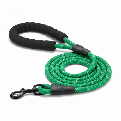 Laisse Chien Nylon Réfléchissante – Poignée Confort