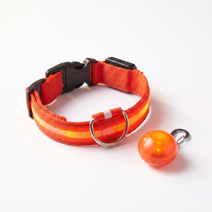 Collier LED USB Rechargeable pour Chien | Sécurité et Visibilité Nocturne