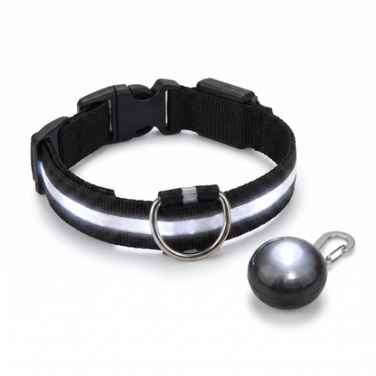 Collier LED USB Rechargeable pour Chien | Sécurité et Visibilité Nocturne