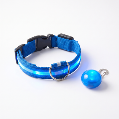 Collier LED USB Rechargeable pour Chien | Sécurité et Visibilité Nocturne