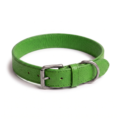 Collier en Cuir Réglable pour Chien | Confort et Élégance