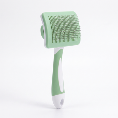 Brosse autonettoyante verte