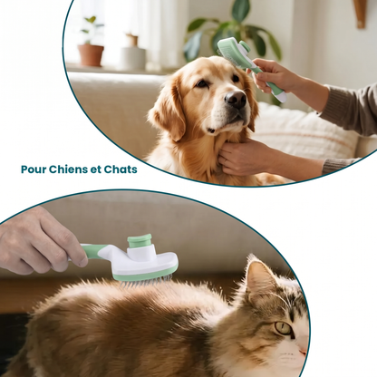 Pour chiens et chats